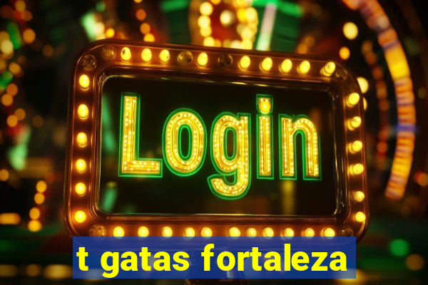 t gatas fortaleza